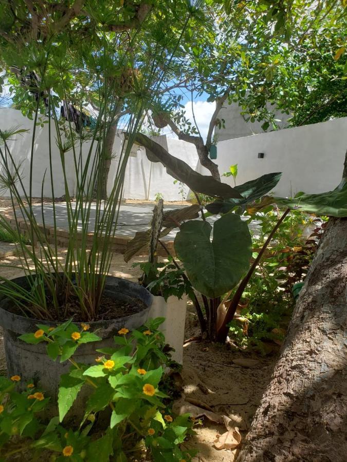 Hotel Casa Pipa Bg Barra Grande  Exteriér fotografie